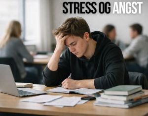 Billedet viser en ung person, der sidder koncentreret ved et skrivebord med bøger og computer, tydeligt præget af stress og mental belastning. Den fremoverbøjede kropsholdning og rolige omgivelser understreger presset fra skolearbejde og forventninger.